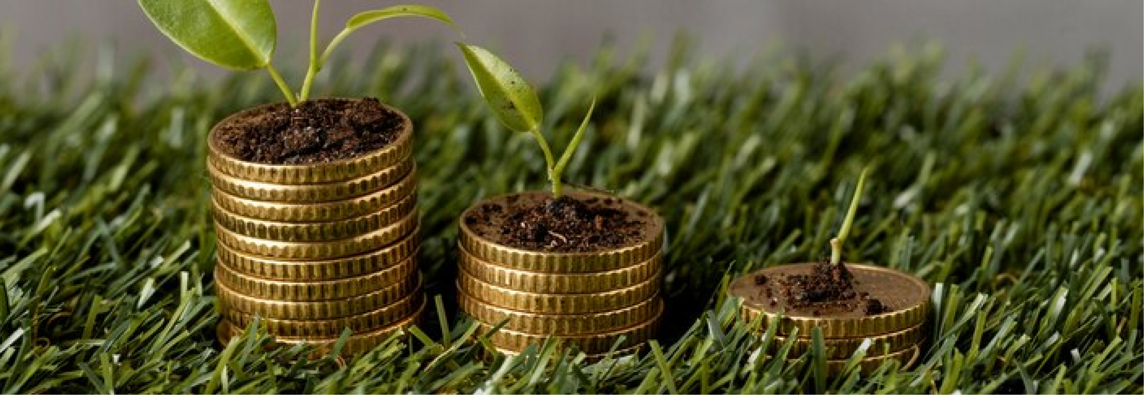Alternative Investments